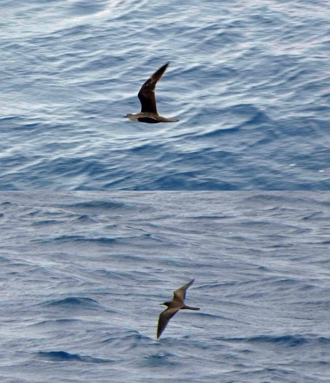 Lomaloma, Insel Vanua Balavu, Fidschi