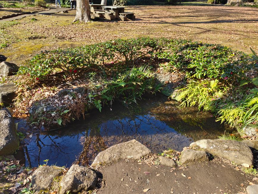 Impressionen aus dem Serigaya Park #4