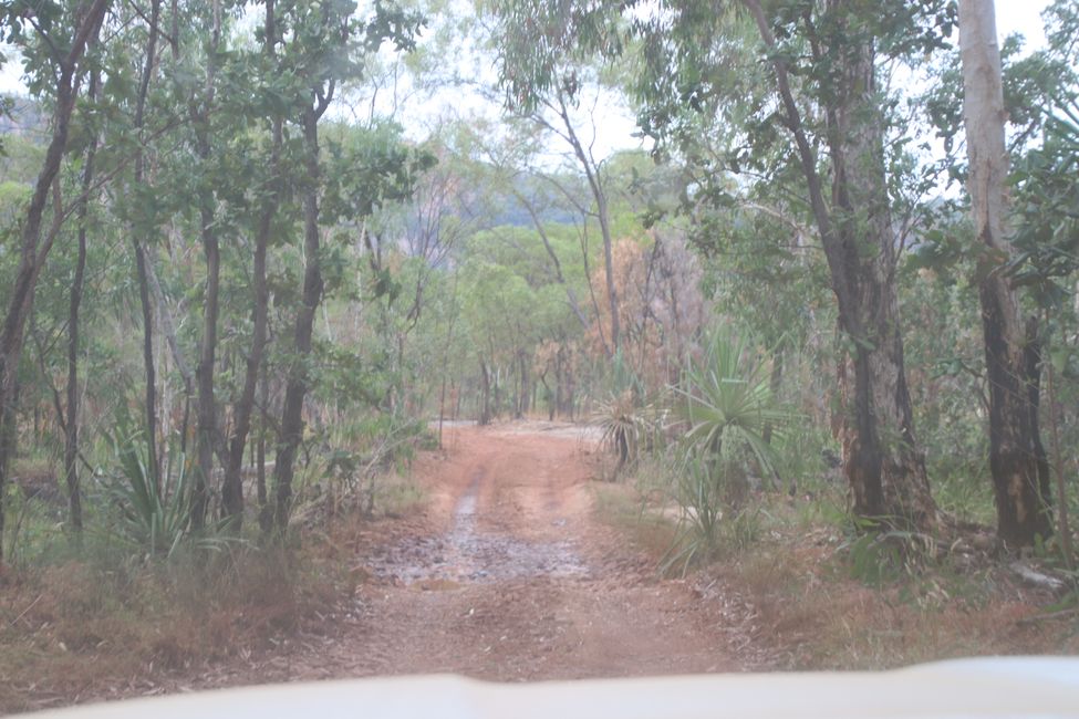 Day 25: From Cooinda to Pine Creek