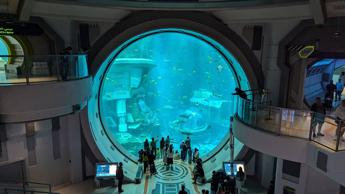 标签 7 (2024) 迪拜海洋世界与雅斯湾