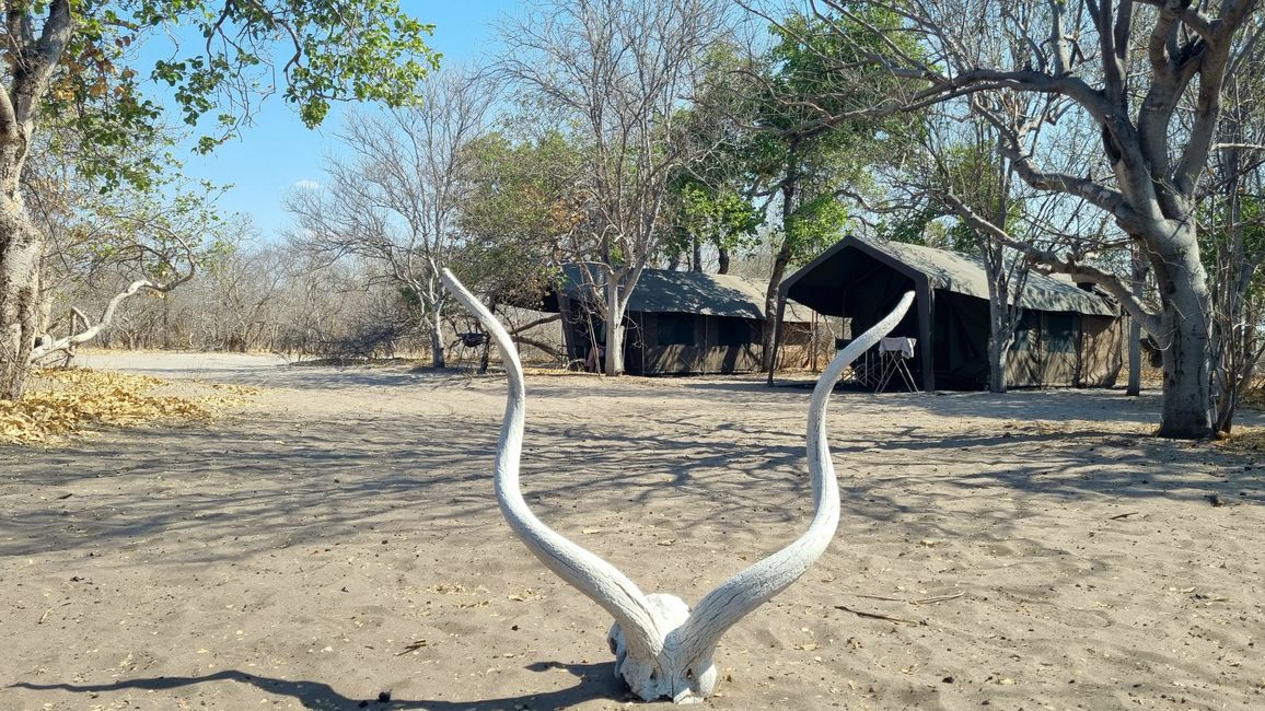 Simbabwe / Botswana 2024