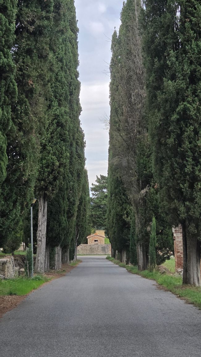 Siena 2025 - Día 6