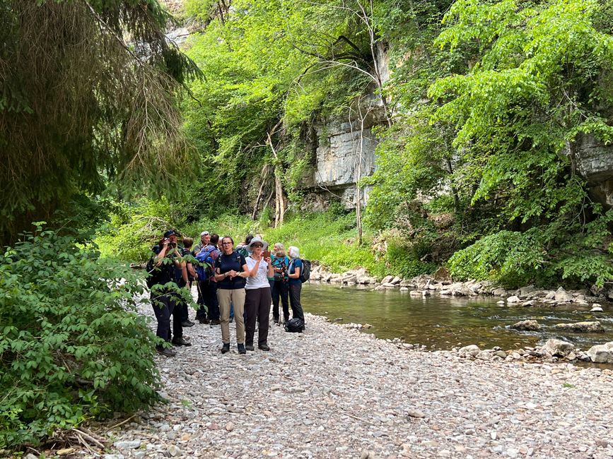 28 Wutachschlucht Pro Wolermoos