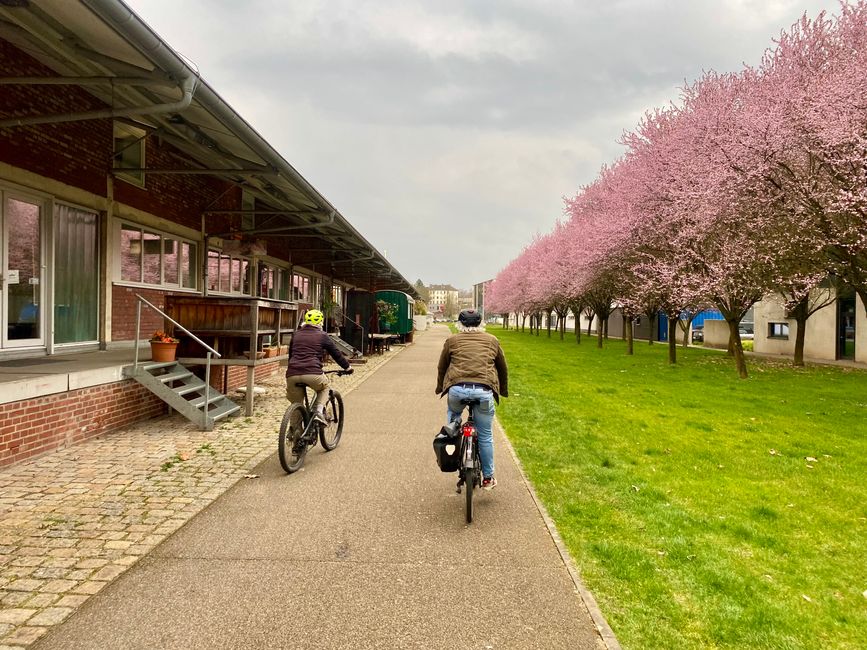 ...und zeigt uns, wie schön es in Solingen...
