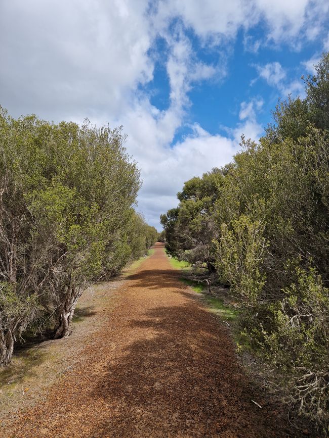 From Adelaide to Kangaroo Island