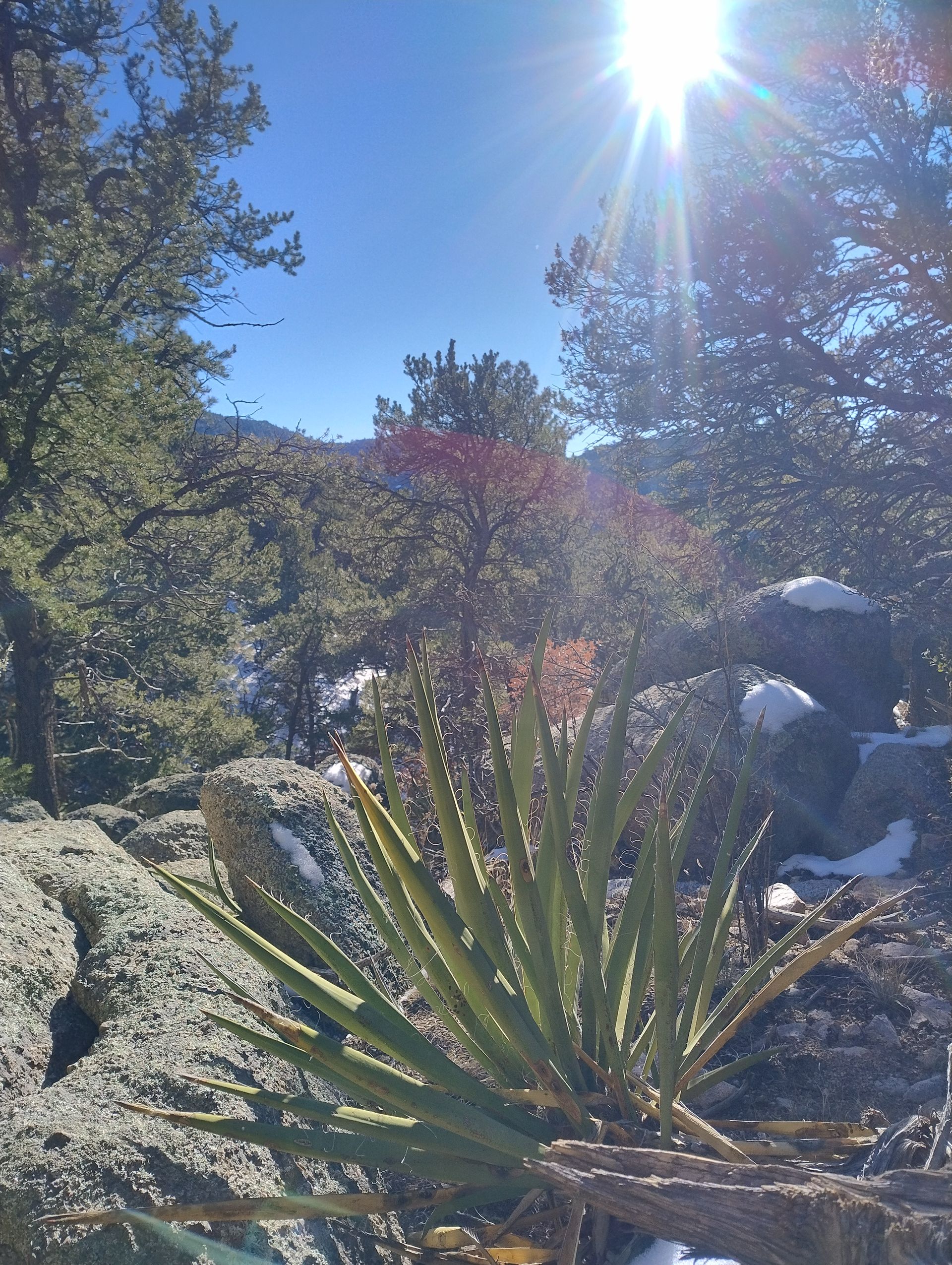 Albuquerque