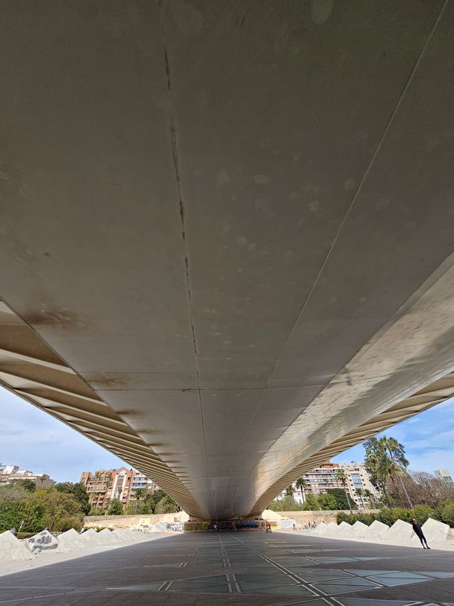 2025 - Aprile - Valencia - Parco del Turia