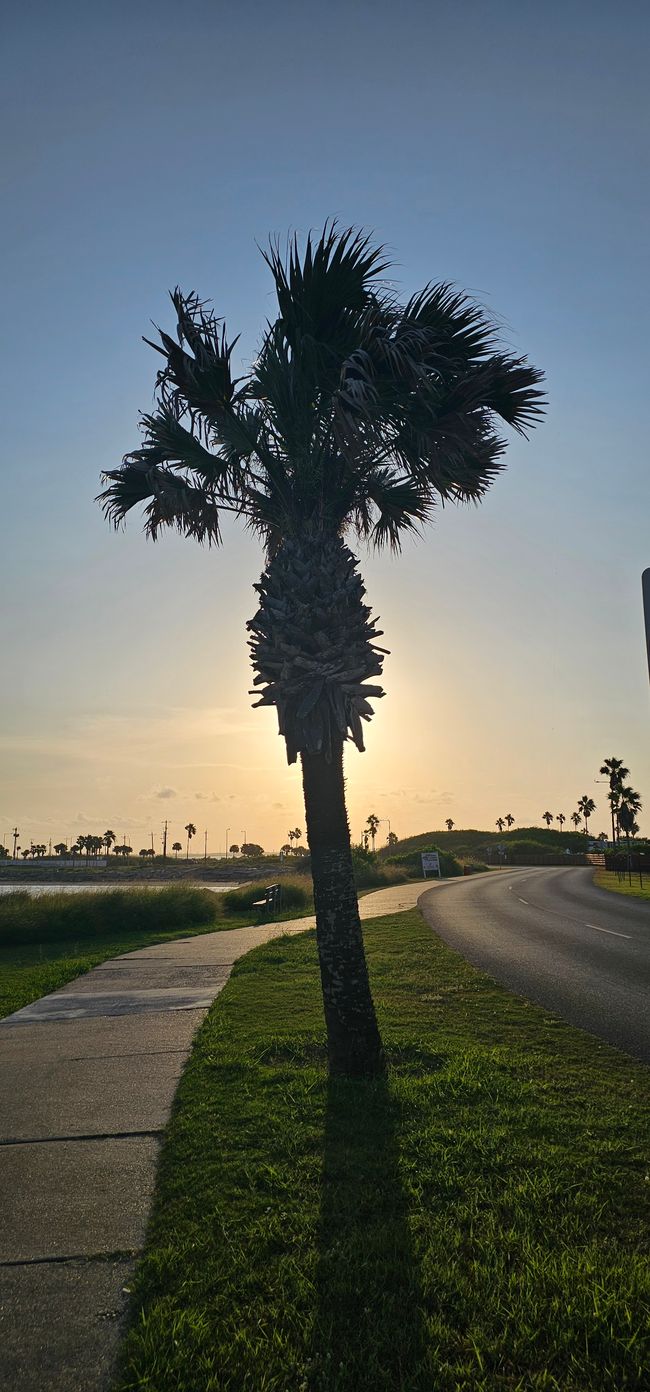 5 jours à South Padre Island 🌴