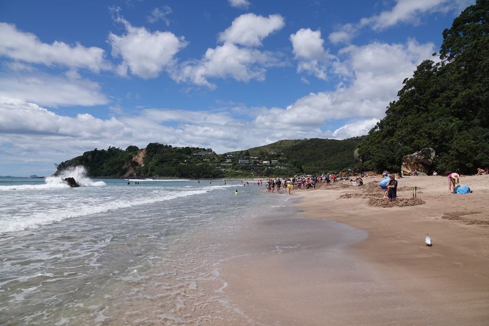 La península de Coromandel ....