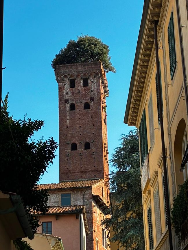 Torre Guigini 