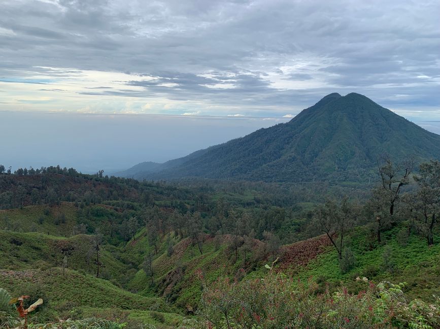 Ijen Cratere e Parco Nazionale Bromo Tengger Semeru