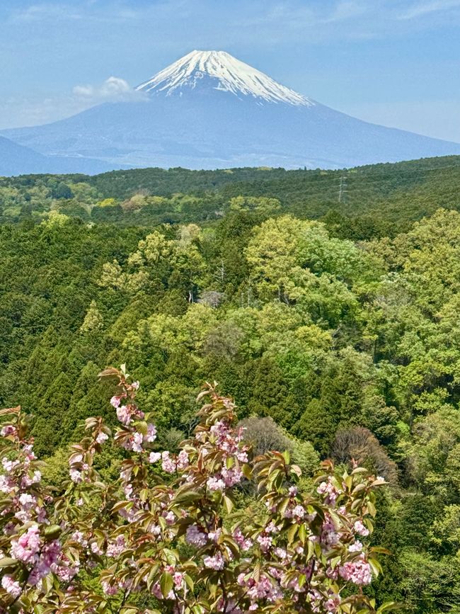 Part 11 Japan 🇯🇵 Mishima / Fuji Part 2