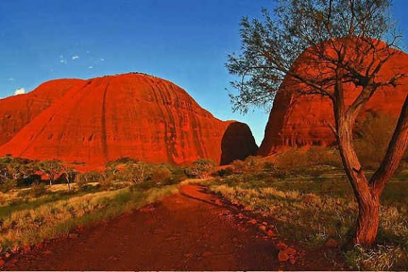 Kata Tjuta bedeutet auf Deutsch "Viele Köpfe" oder "Viele Köpfe" (wörtlich), ein Name der Aborigines für die riesige Gruppe von 36 Felskuppeln (auch als die Olgas bekannt) nahe dem Uluru in Australien, die eine heilige Stätte der Anangu sind und sich durch ihre sich ändernden Farben und Schluchten auszeichnen.