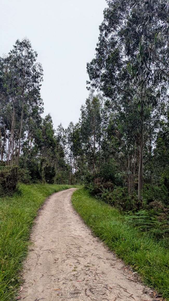 12. Etappe Camino del Norte von Pendueles nach Barro