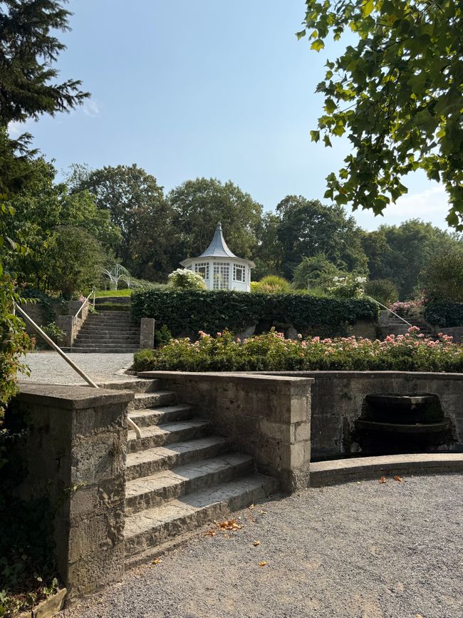 📍Würzburg