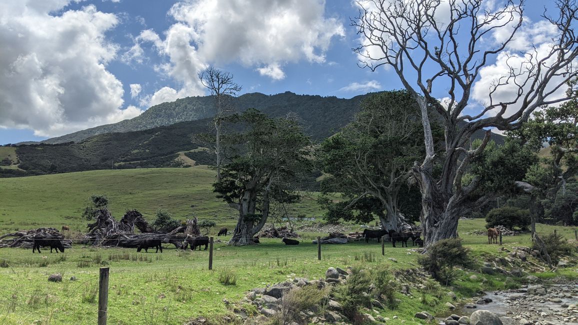 Coromandel Norte