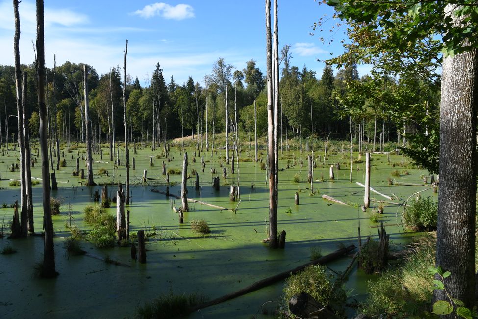 Viaggio in Masuria ad agosto 2024