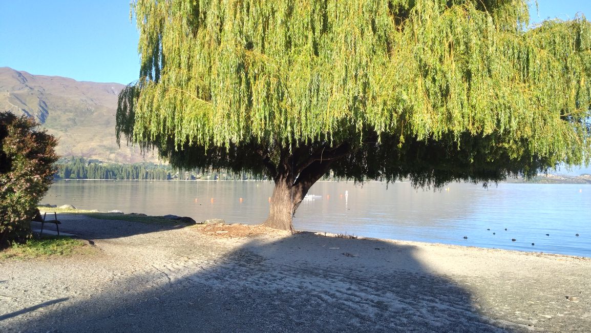 Überführungsfahrt CHC - Wanaka