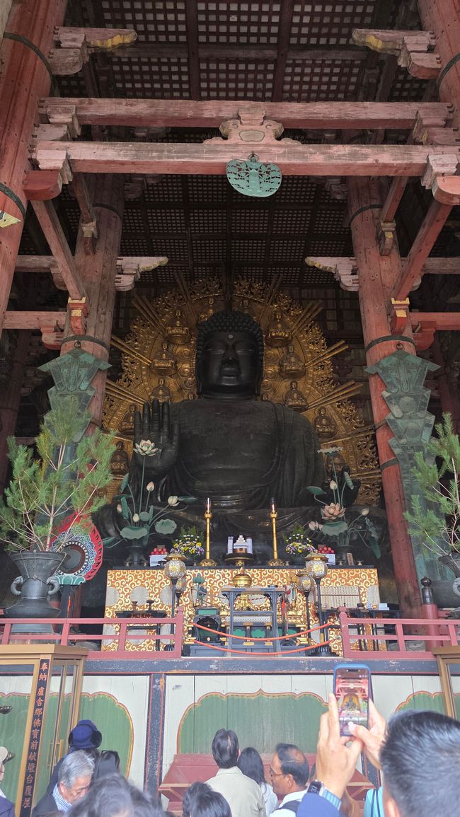 Osaka 'kuidaore' ➡️ mangiare fino a cadere