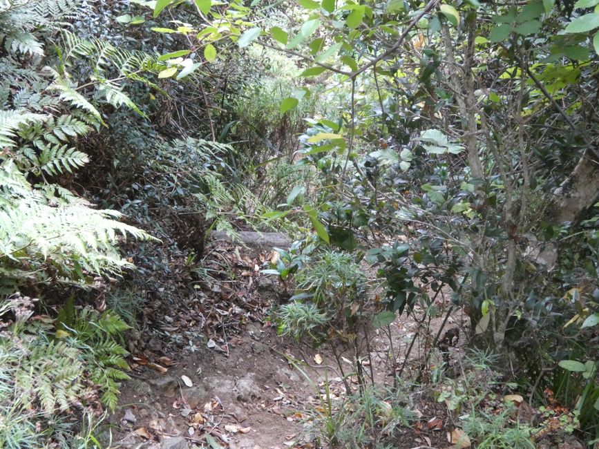 Robinson-Crusoe-Insel (Juan-Fernández-Inseln)