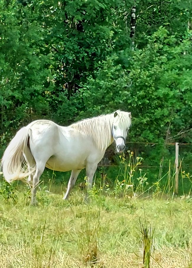 Südschweden-Tour - Tag 26