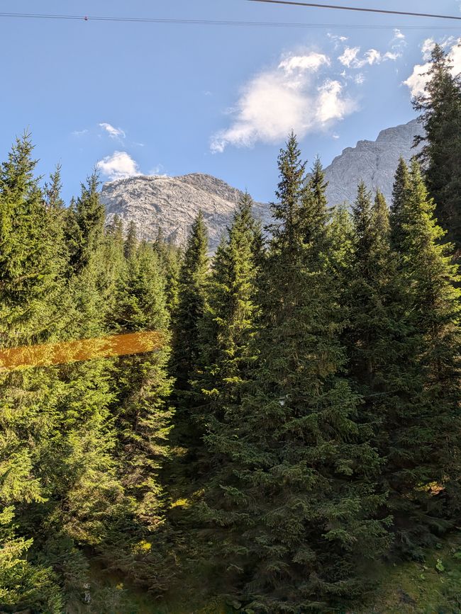 Forggensee 2026 - Neuschwanstein und Zugspitze