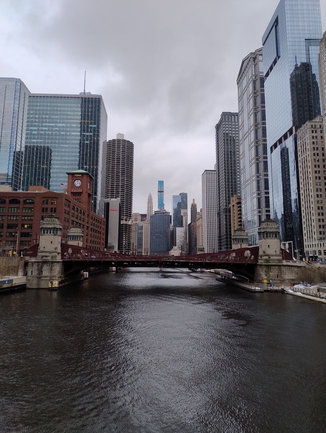 Chicago 3
