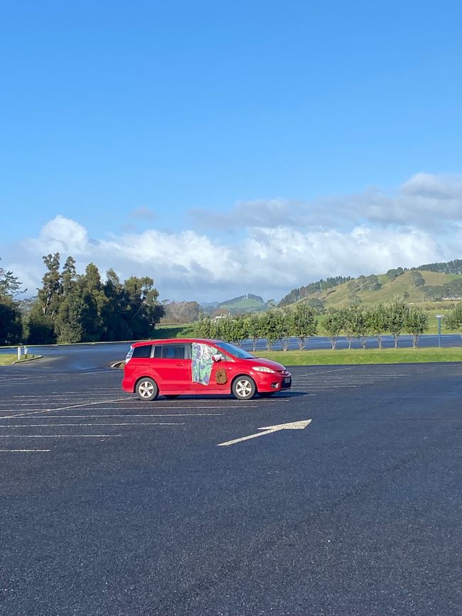 Coromandel loop
