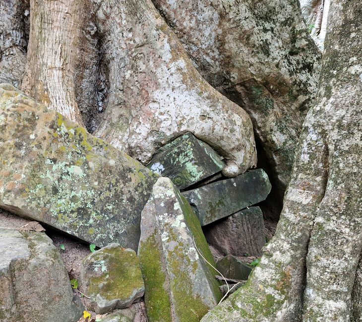 Baphuon und Ta Phrom - Himmelsleiter und himmlischer Ort