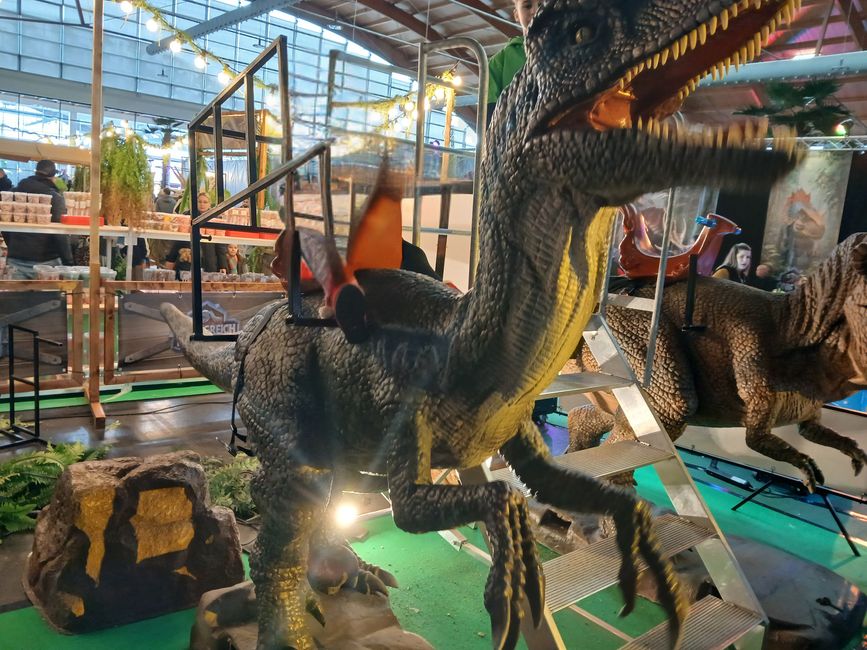 Dino Fever in Friedrichshafen: An Honest Look into the "Kingdom of Dinosaurs"