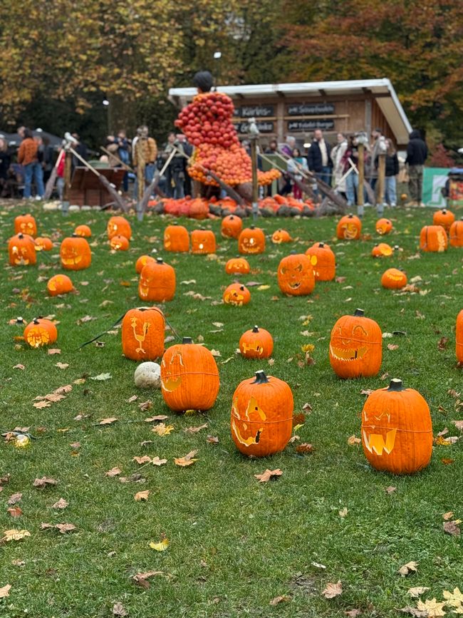 📍 Esposizione di zucche, Ludwigsburg/ 📍 Pumpkin exhibition, Ludwigsburg