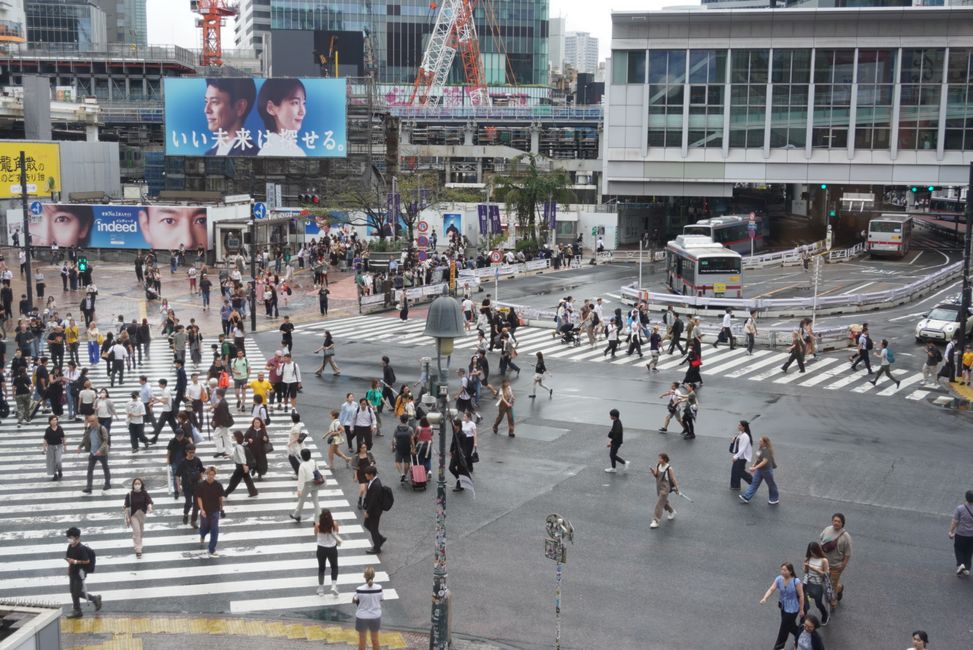 Shibuya y Sumo