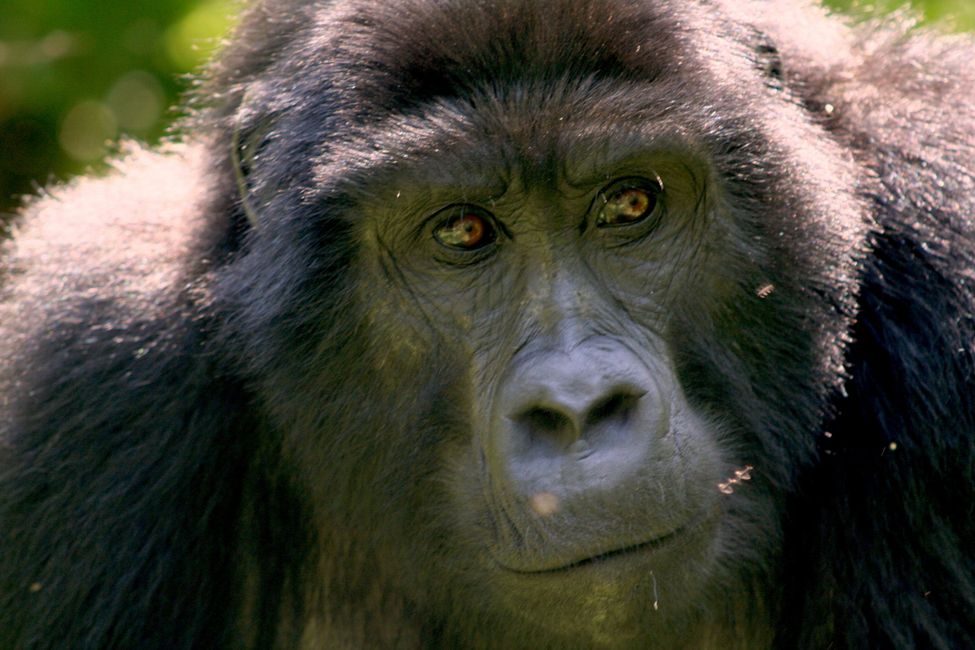 Agnes 25 Jahre alt