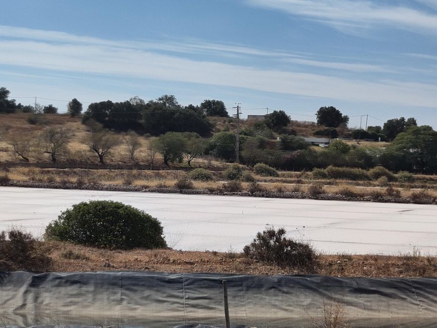 Saline