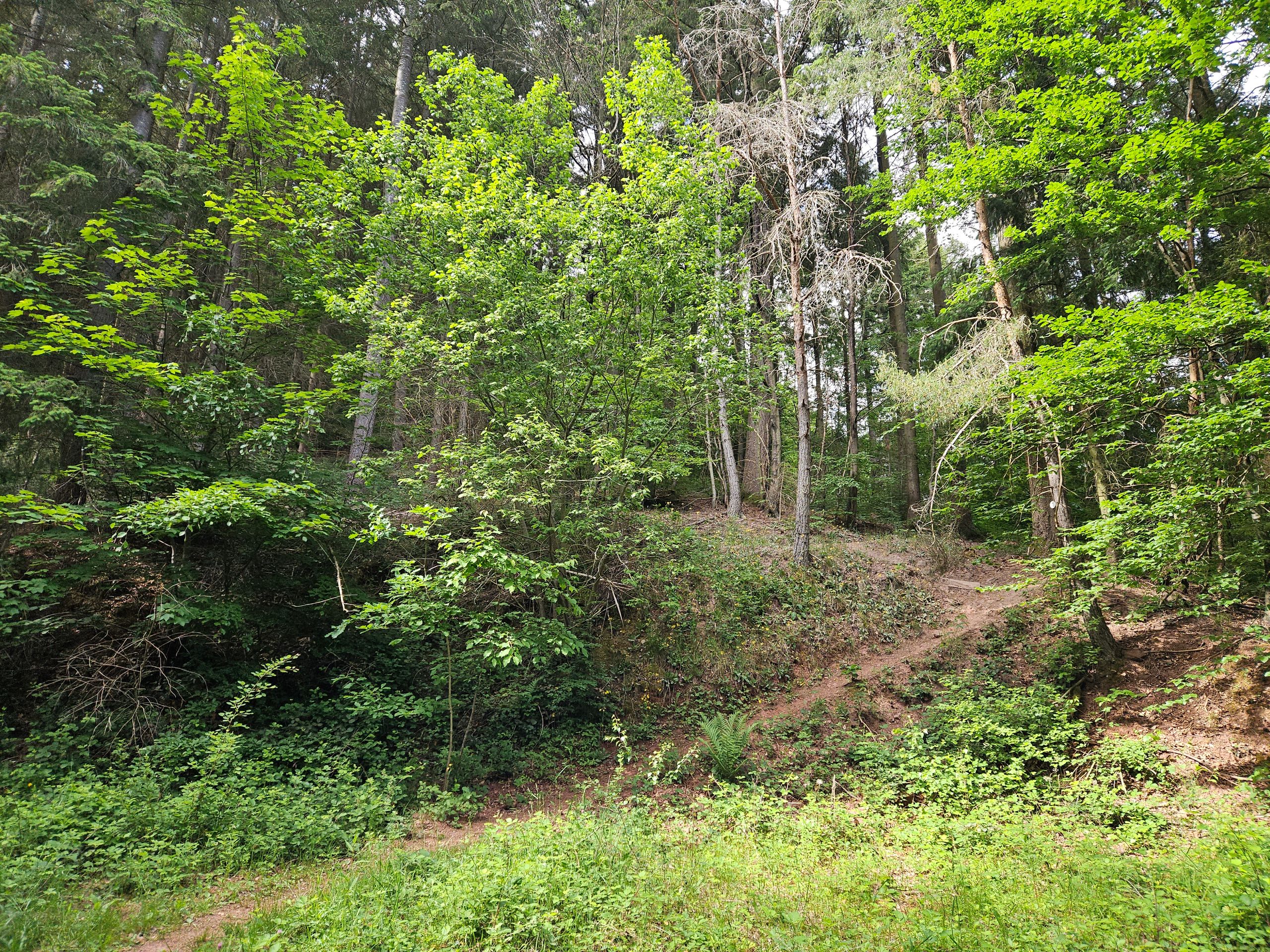 Near Eußerthal