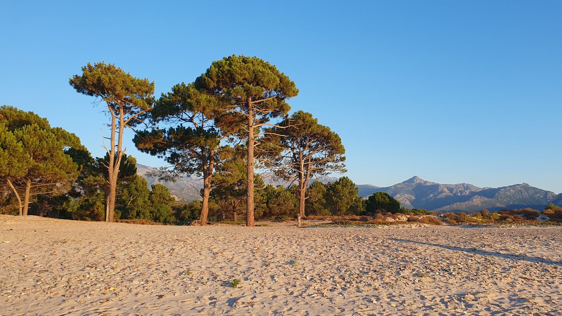 Vista de la playa hacia las montañas