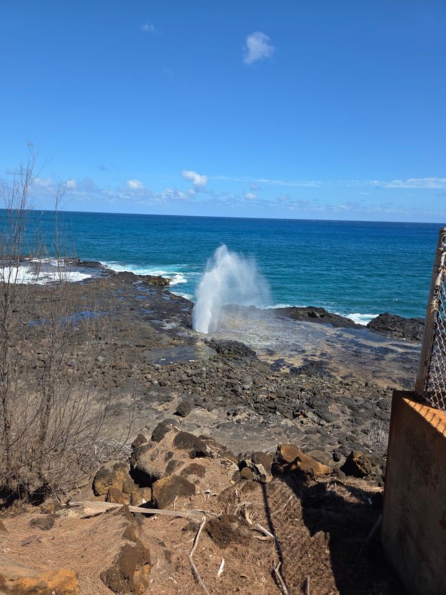Spouting Horn