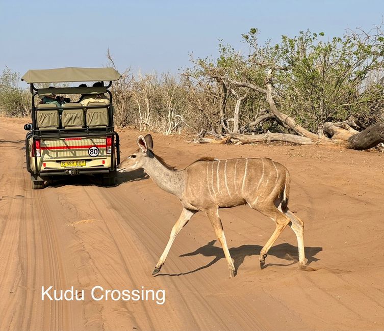 Parque Nacional Chobe