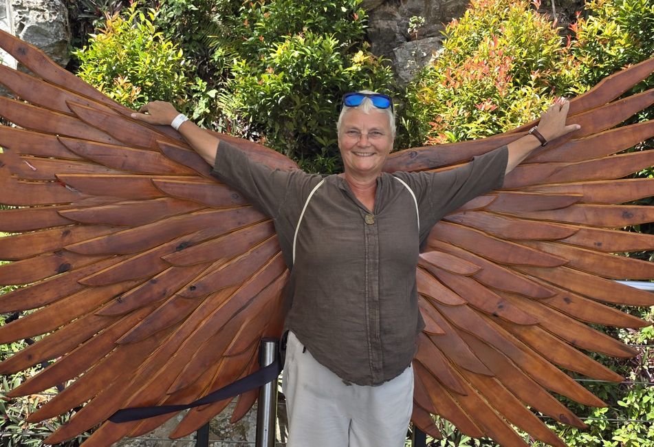 fly