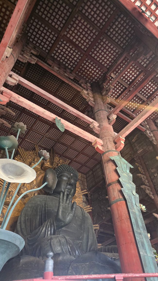 Osaka 'kuidaore' ➡️ mangiare fino a cadere