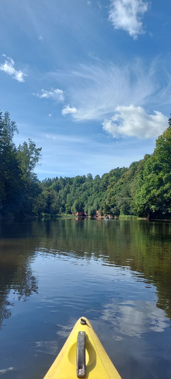 Paddeln auf der Gauja