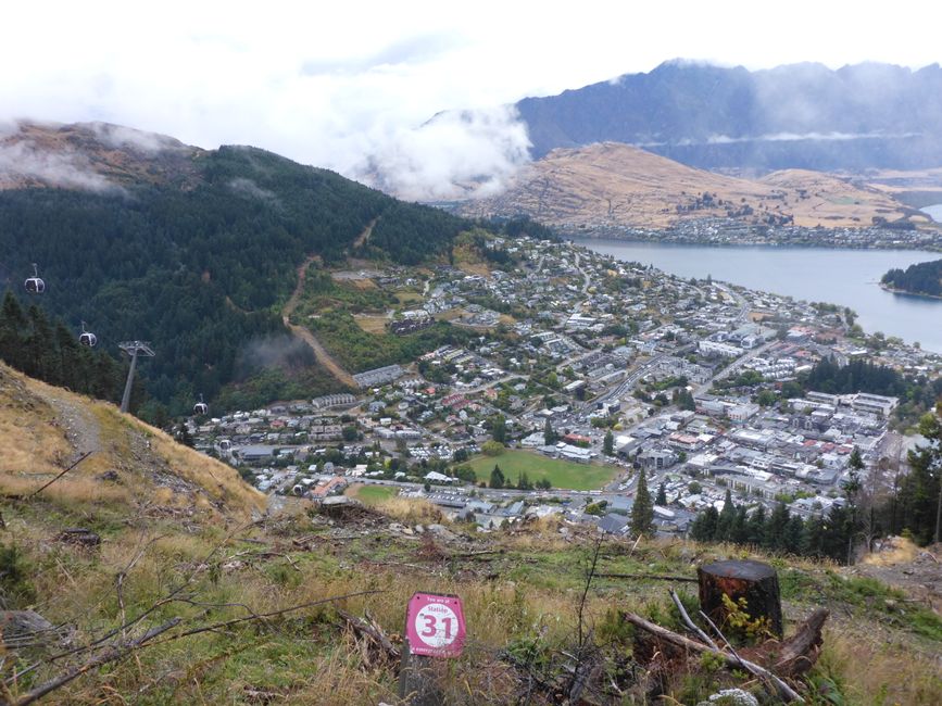 2025-02-19 Fjordland; NZL