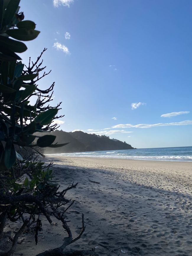 Coromandel loop