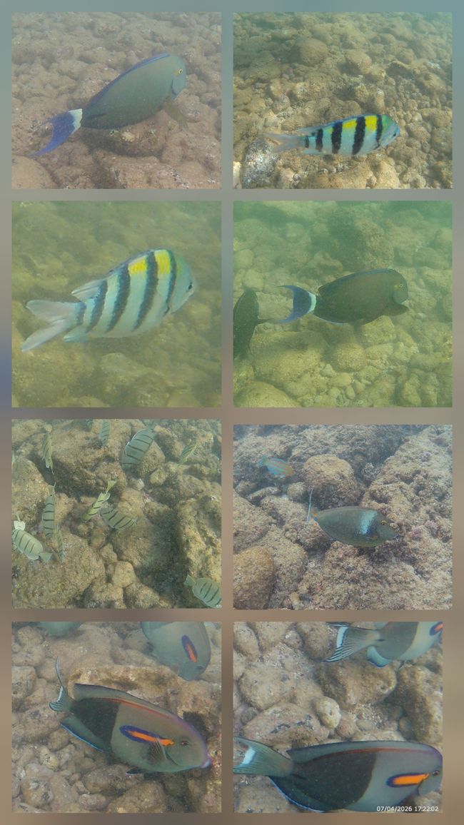 Unterwasserbilder