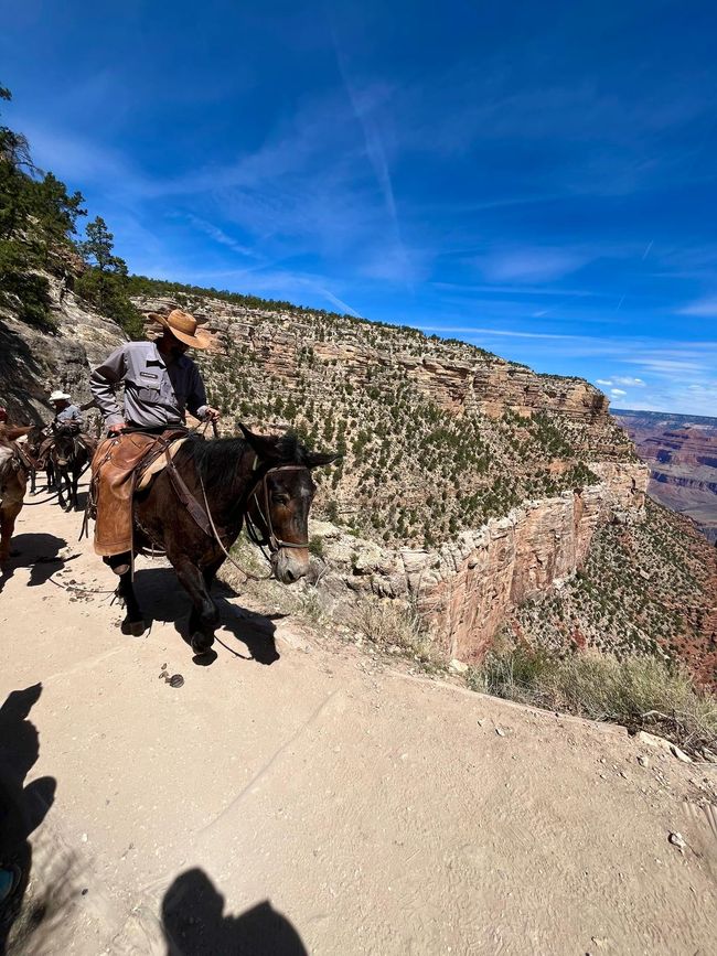 Grand Canyon