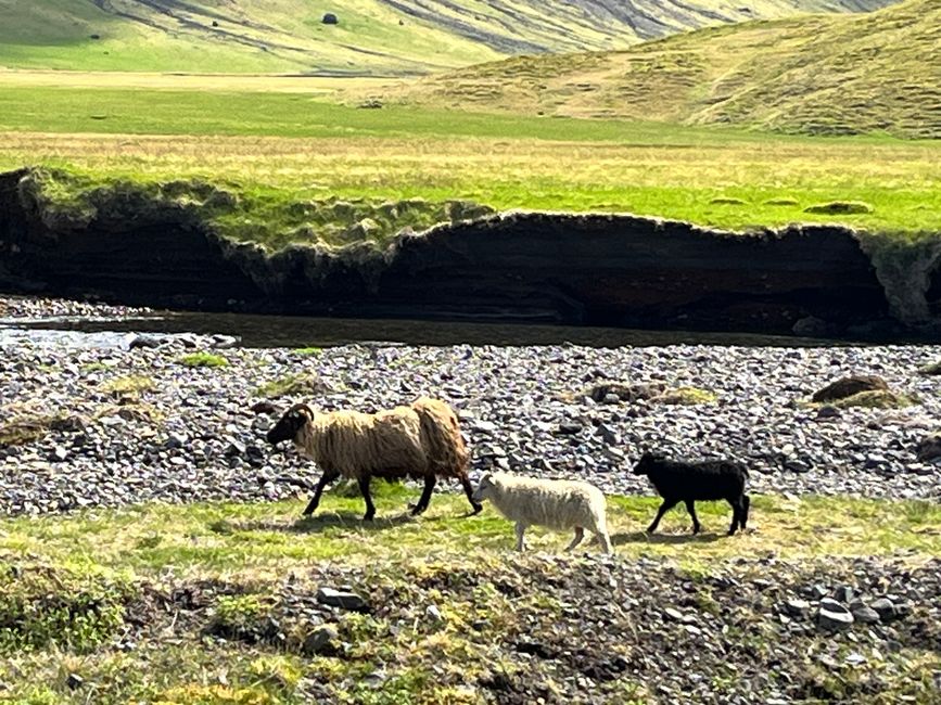 Grundarfjördur