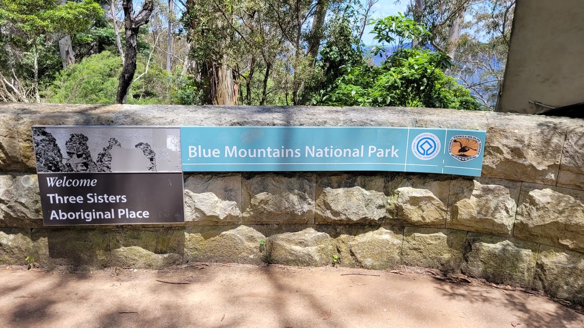 Blue Mountains – Eukalyptusbäume locken nicht nur Koalas an