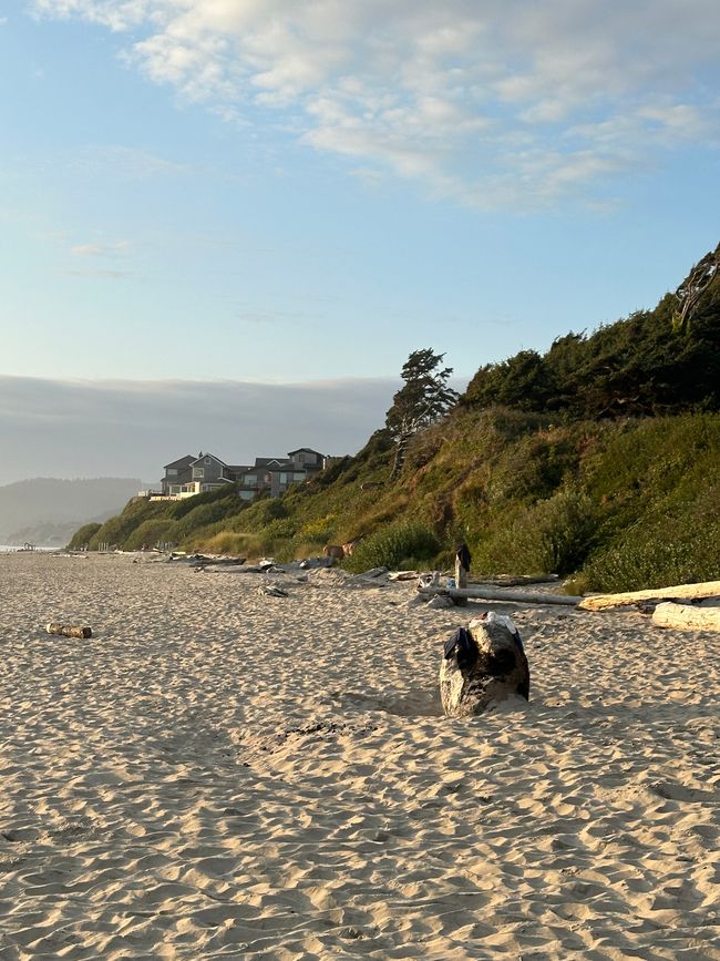 Oregon Pacific Beach