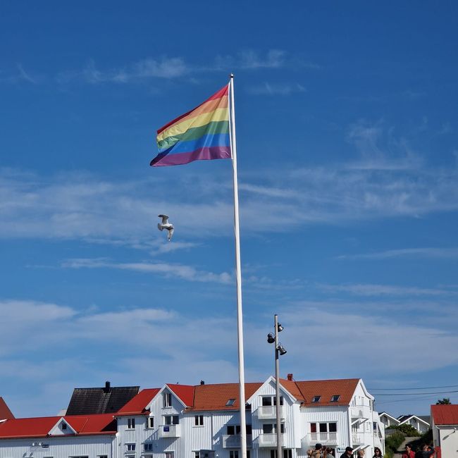 Reine, Nusfjord, Vikbeach-Haucklandstranda, Henningsvaer