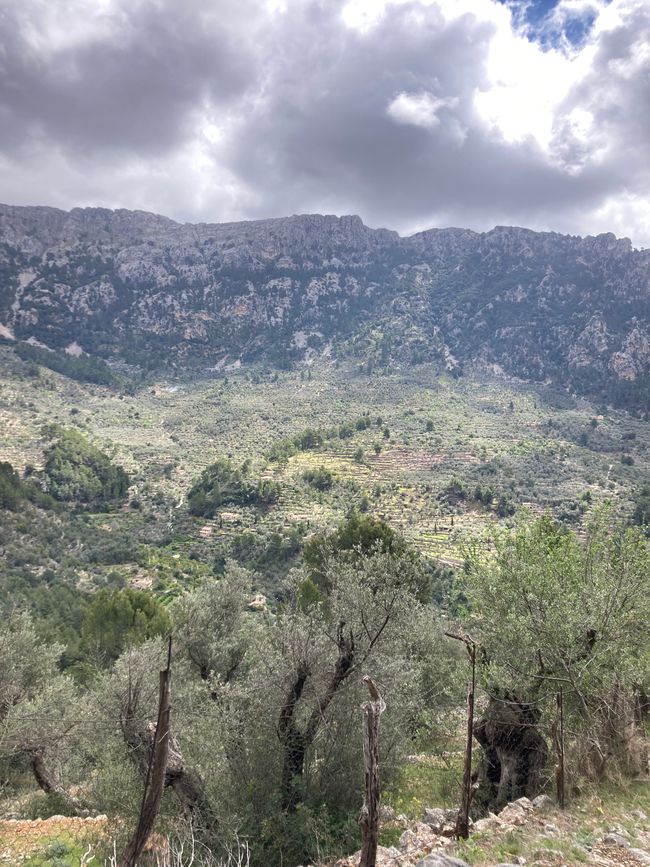 Fornalutx… heißt übersetzt, bestimmt- „steile Treppen“